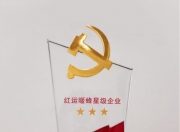 喜摘“十佳”荣誉！ 武汉T3出行司机用踏实与责任诠释职业获得感