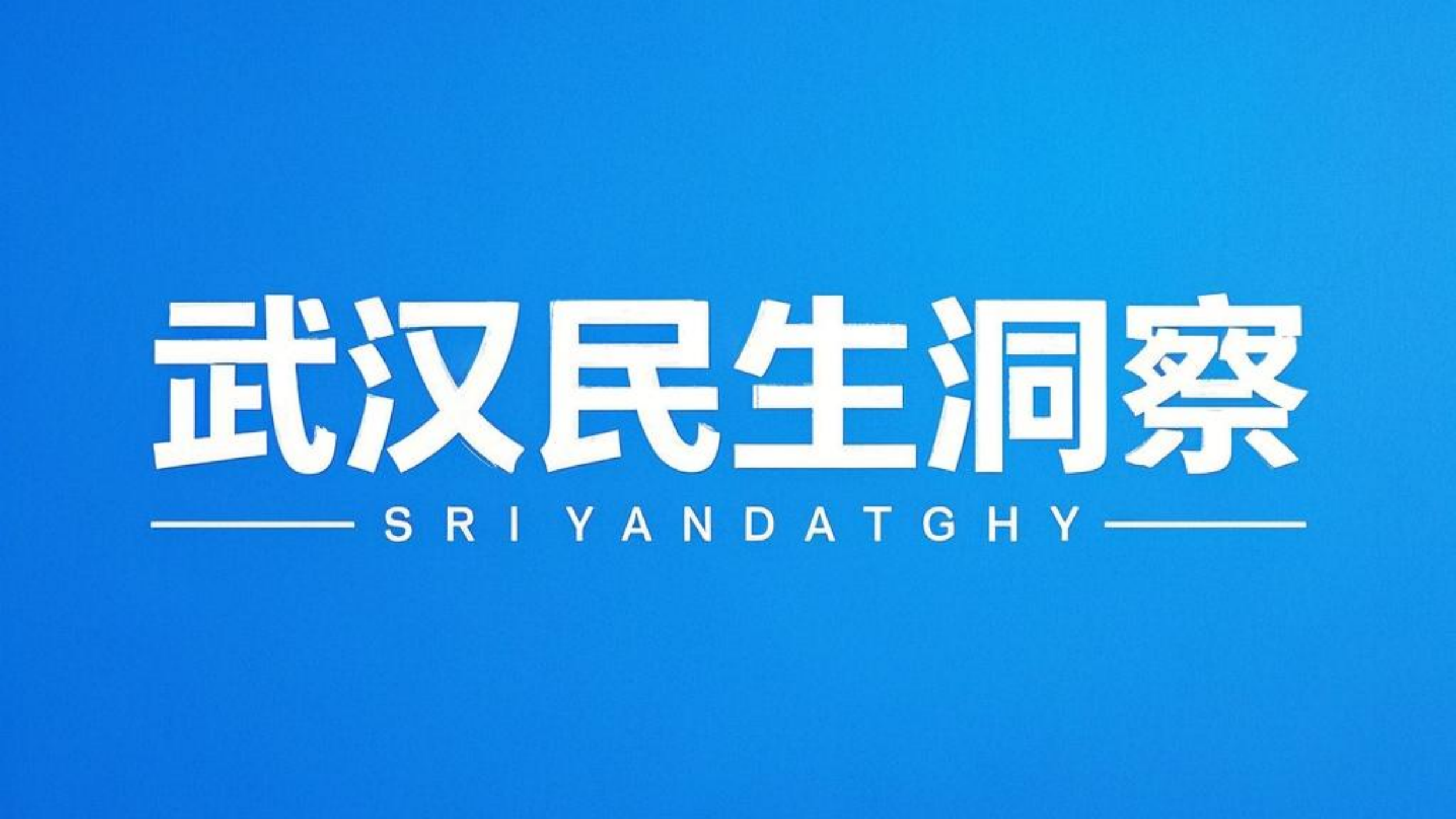 武汉民生洞察