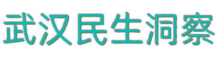 武汉民生洞察